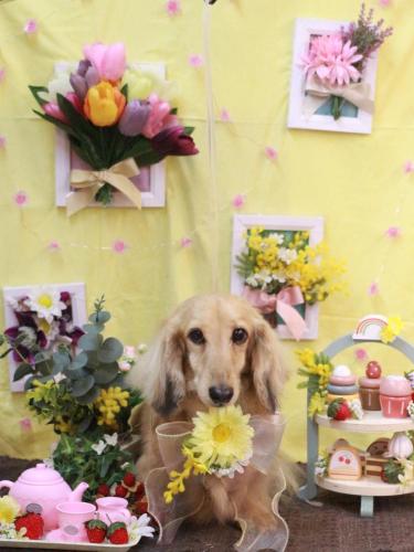 20230308そらくん